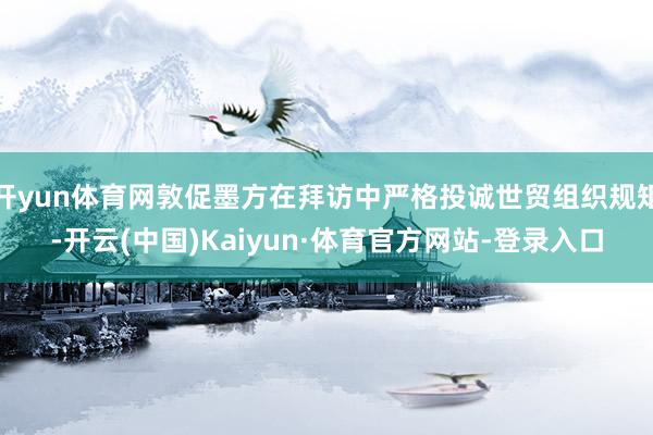 开yun体育网敦促墨方在拜访中严格投诚世贸组织规矩-开云(中国)Kaiyun·体育官方网站-登录入口