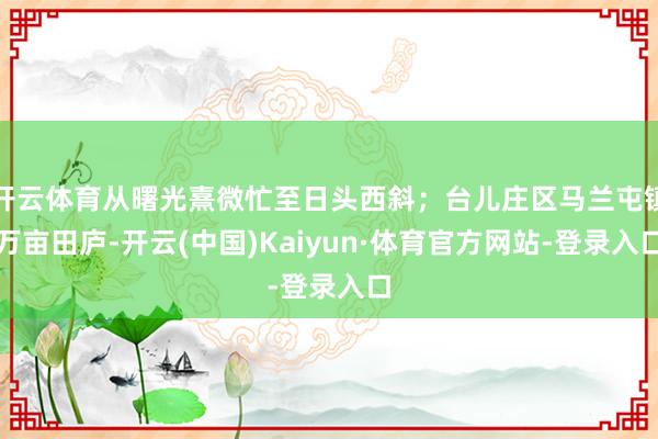 开云体育从曙光熹微忙至日头西斜；台儿庄区马兰屯镇万亩田庐-开云(中国)Kaiyun·体育官方网站-登录入口