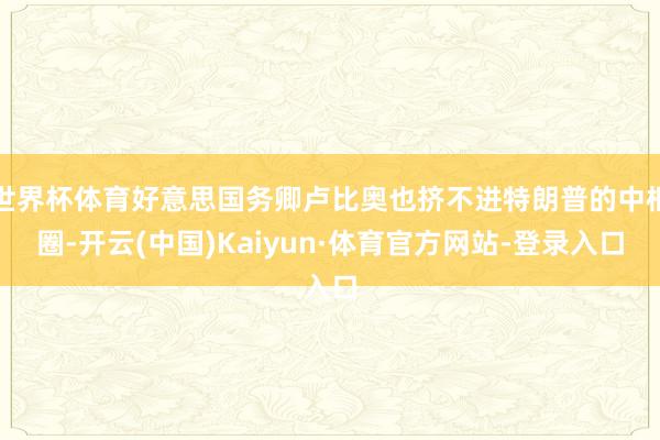 世界杯体育好意思国务卿卢比奥也挤不进特朗普的中枢圈-开云(中国)Kaiyun·体育官方网站-登录入口