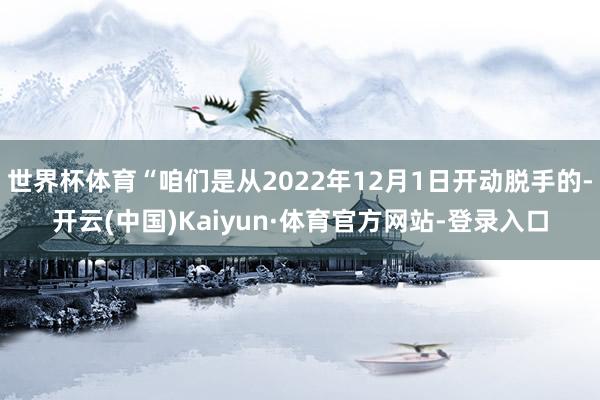 世界杯体育“咱们是从2022年12月1日开动脱手的-开云(中国)Kaiyun·体育官方网站-登录入口